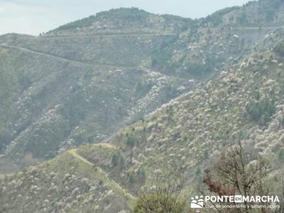 Travesía de senderismo desde El Atazar a Patones;el paular rutas; donde nace el rio jarama 